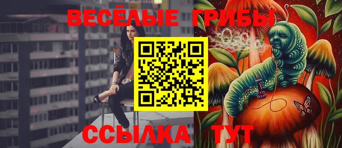 Тамбов  магазин  наркотиков  Вход с VPN  Псилоцибиновые грибы Psilocybine cubensis 